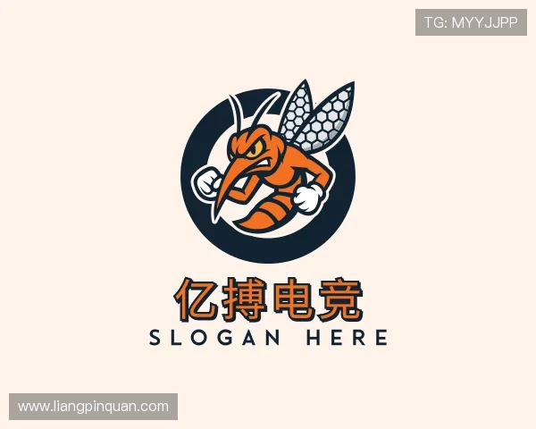 介绍YIBO亿博电竞官网